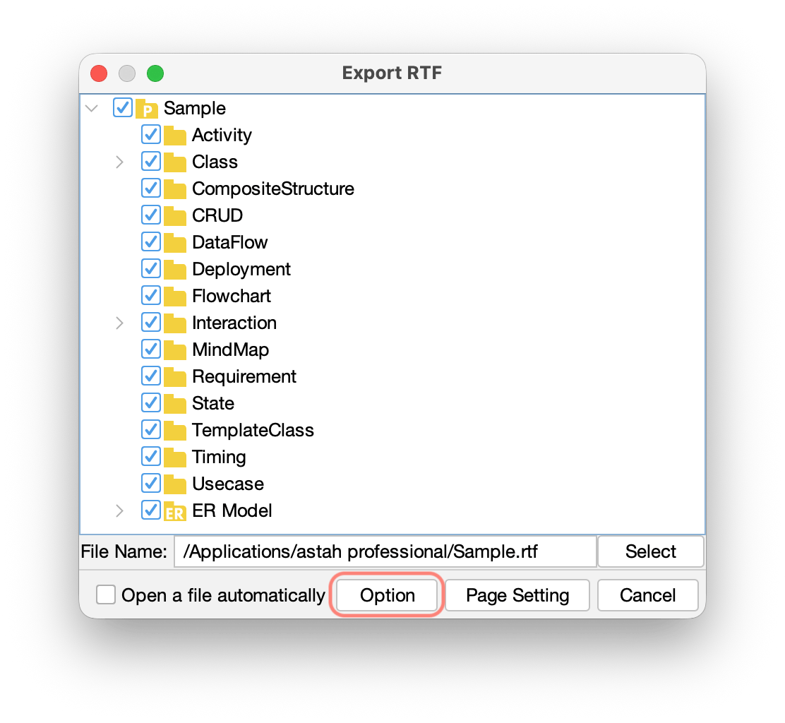Export RTF model options