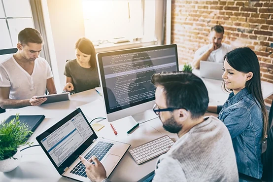 Software Development Team